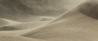 Insight Q4 2023 - Shifting sands
